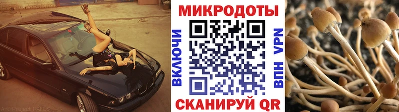 Псилоцибиновые грибы Cubensis  Шуя 